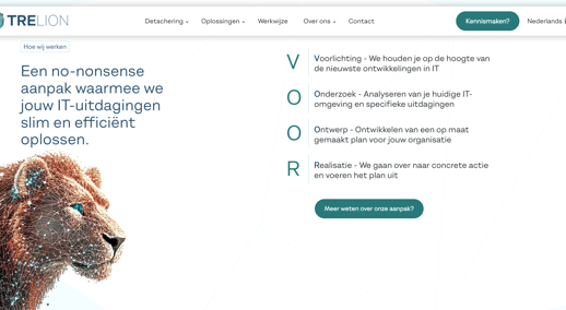 nieuwe website Trelion aanpak
