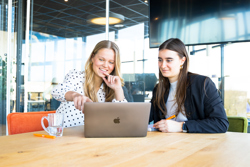 marketingteam ipsis bekijkt resultaten