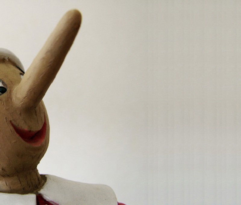 nose-1552298.jpg (1)