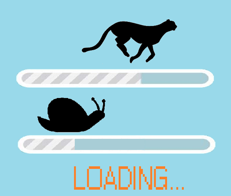 WEBSITE SNELHEID.png