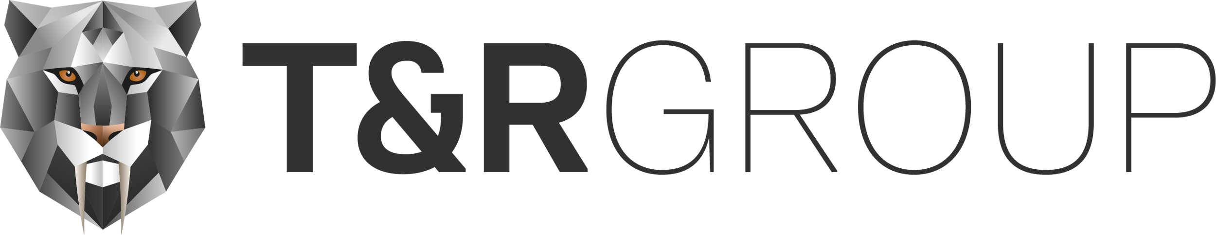 Logo T&R DEF RGB